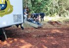 Caso Chocante em Apucarana: Homem Carbonizado Encontrado com Sinais de Violência Extrema