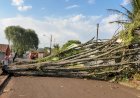 Temporal provoca estragos em vários pontos de Apucarana e mobiliza força-tarefa