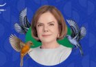 Gleisi Hoffmann é eleita a melhor deputada federal do Paraná