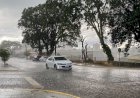Norte do Paraná entra no alerta de temporais; veja as áreas de risco
