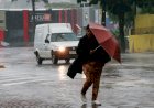 Norte do Paraná pode ter temporais, ventos acima de 70 km/h e queda nas temperaturas