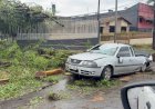 Ventos de quase 125 km/h: Simepar aponta sinais de downburst no temporal de Apucarana