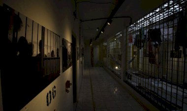 MIS-PR promove visitas guiadas à exposição "Desse Lado do Muro"