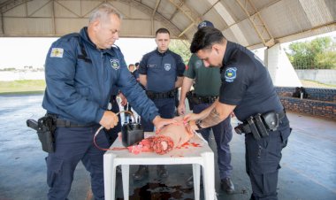 Guarda Civil de Apucarana atualiza protocolos e técnicas em novo estágio de qualificação