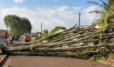 Temporal provoca estragos em vários pontos de Apucarana e mobiliza força-tarefa