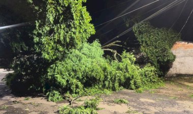 Prefeitura mobiliza equipes após temporal e atende ocorrências em diferentes regiões de Apucarana