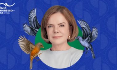 Gleisi Hoffmann é eleita a melhor deputada federal do Paraná
