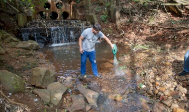 Apucarana investe em parceria com agricultores e mapeamento de pontos críticos para controlar borrachudo
