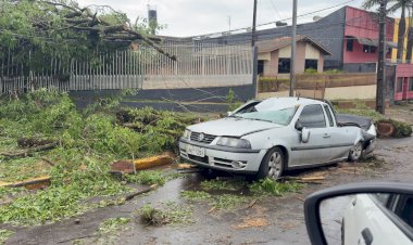 Ventos de quase 125 km/h: Simepar aponta sinais de downburst no temporal de Apucarana