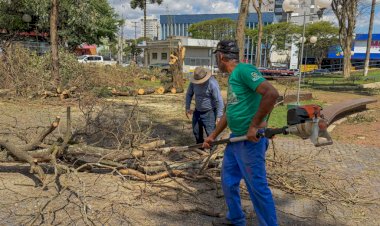 Uma semana após o temporal, atendimento emergencial prossegue com várias frentes em Apucarana