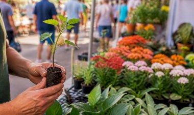 Expoflor une beleza das plantas e solidariedade em Apucarana a partir do dia 20
