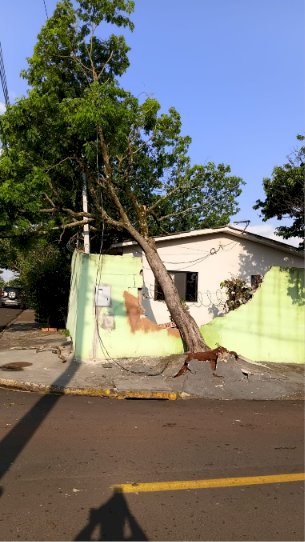 Prefeitura mobiliza equipes após temporal e atende ocorrências em diferentes regiões de Apucarana