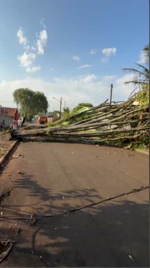 Prefeitura mobiliza equipes após temporal e atende ocorrências em diferentes regiões de Apucarana