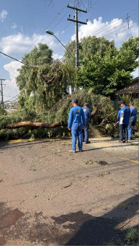 Prefeitura mobiliza equipes após temporal e atende ocorrências em diferentes regiões de Apucarana