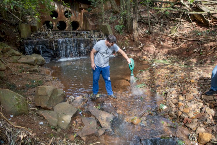Apucarana investe em parceria com agricultores e mapeamento de pontos críticos para controlar borrachudo