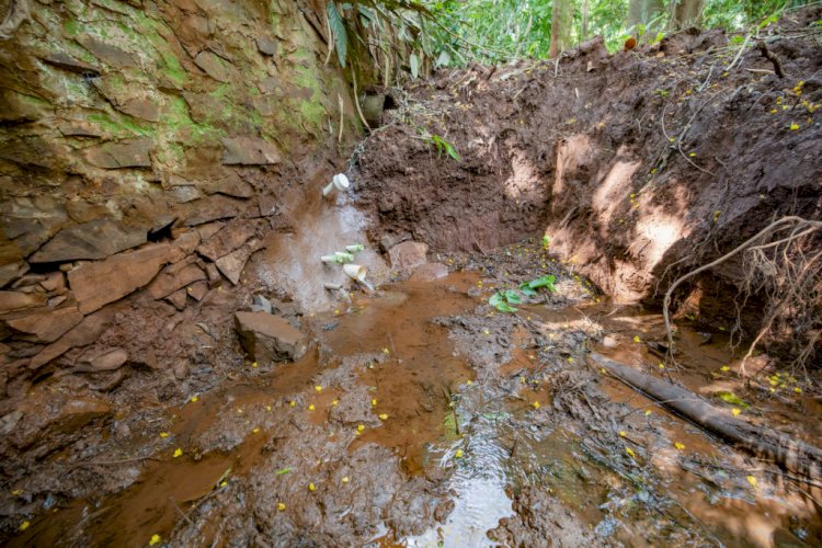 Prefeitura de Apucarana amplia programa de recuperação e prevê chegar a 60 nascentes até dezembro