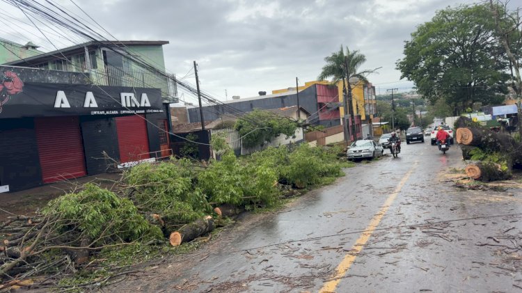Ventos de quase 125 km/h: Simepar aponta sinais de downburst no temporal de Apucarana