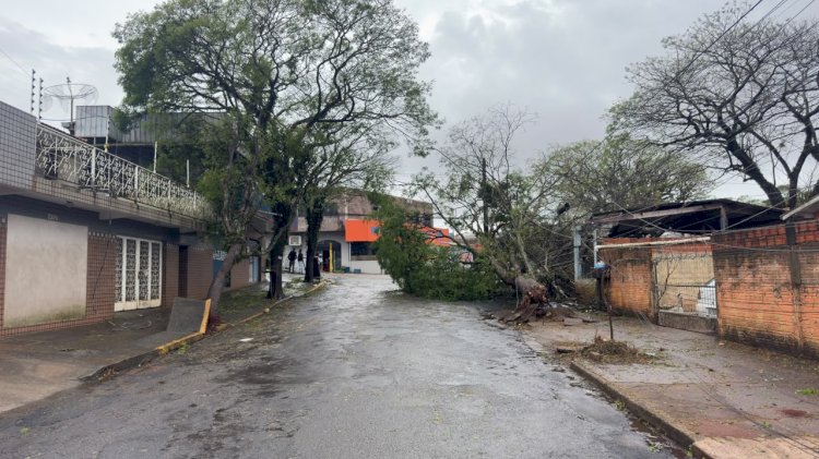 Ventos de quase 125 km/h: Simepar aponta sinais de downburst no temporal de Apucarana