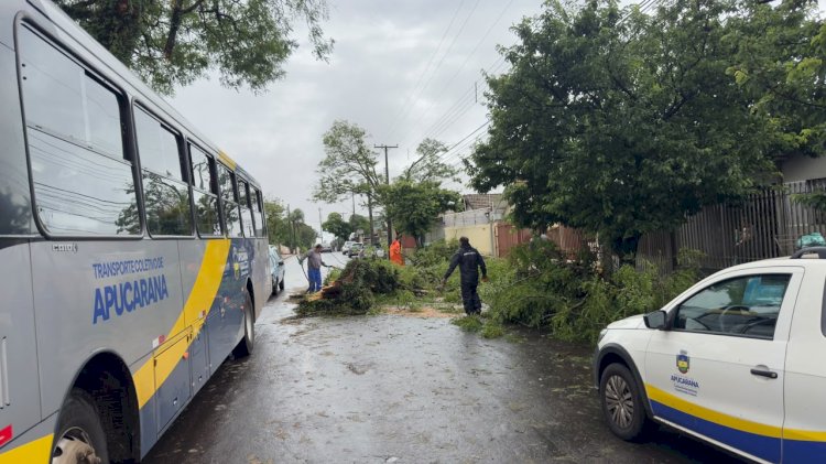 Ventos de quase 125 km/h: Simepar aponta sinais de downburst no temporal de Apucarana