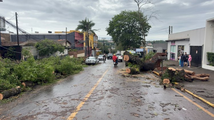 Ventos de quase 125 km/h: Simepar aponta sinais de downburst no temporal de Apucarana