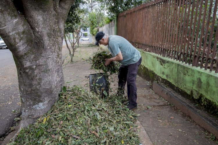 Prefeitura de Apucarana orienta moradores a limpar calçadas e entradas de bueiros após temporal