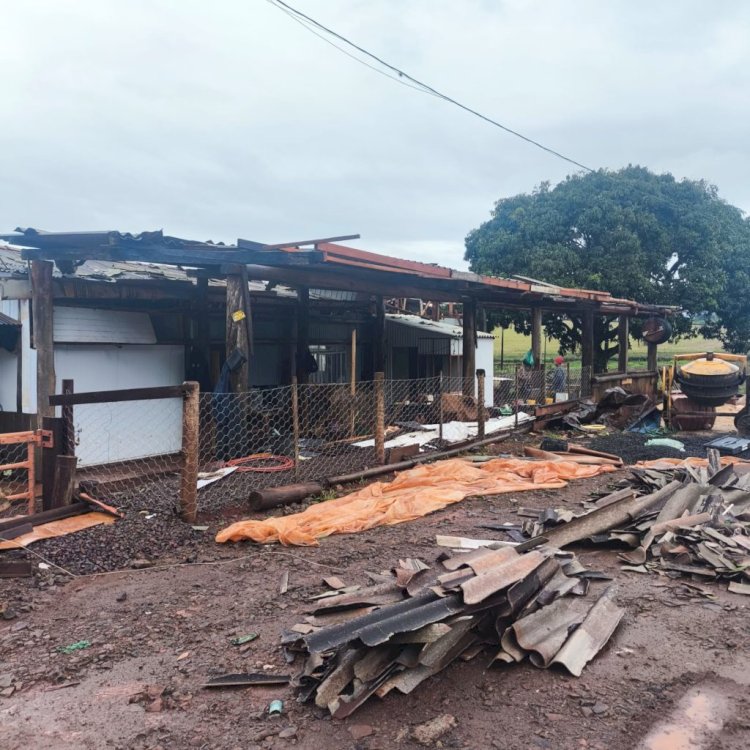 Levantamento parcial aponta R$ 3,3 milhões em prejuízos no setor agropecuário após temporal com granizo e ventos de até 125 km/h em Apucarana