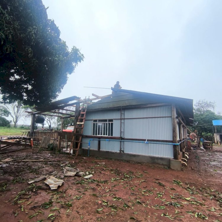 Levantamento parcial aponta R$ 3,3 milhões em prejuízos no setor agropecuário após temporal com granizo e ventos de até 125 km/h em Apucarana