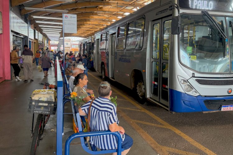 Ônibus terão tarifa zero em Apucarana no domingo das eleições