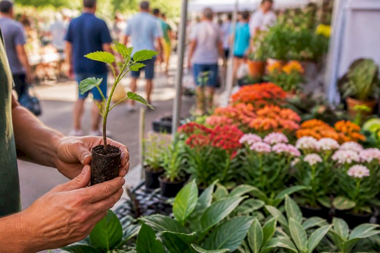 Expoflor une beleza das plantas e solidariedade em Apucarana a partir do dia 20