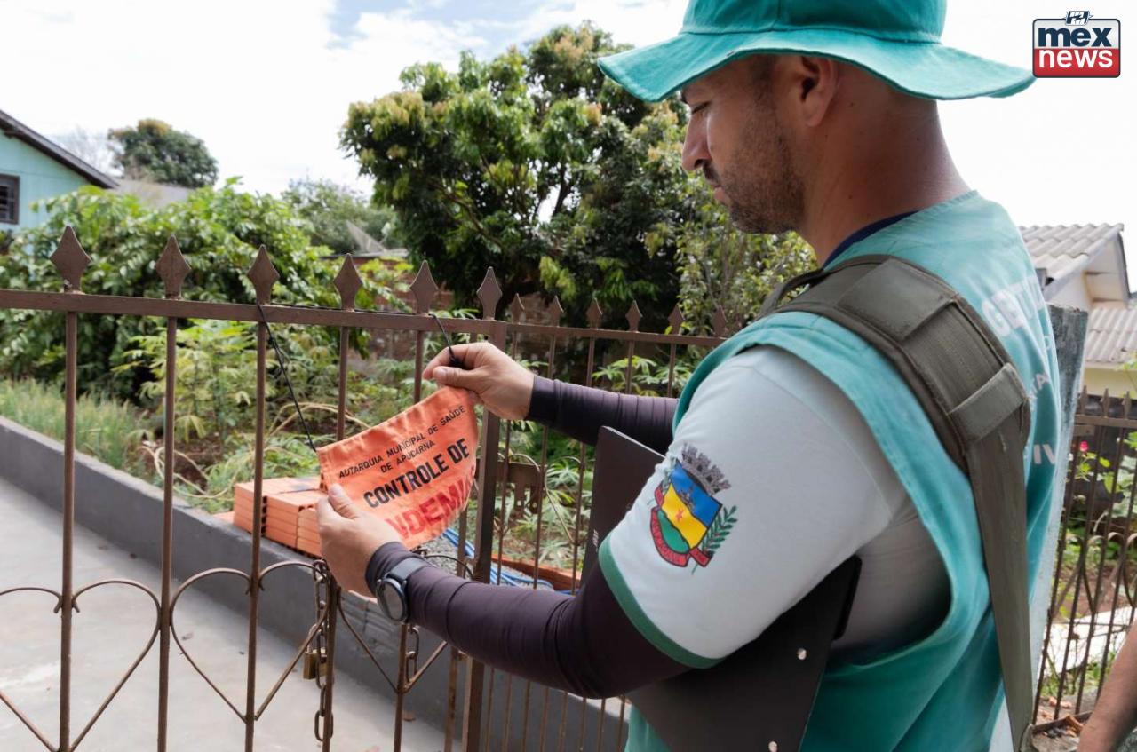 Combate à dengue em Apucarana exige ação coletiva urgente